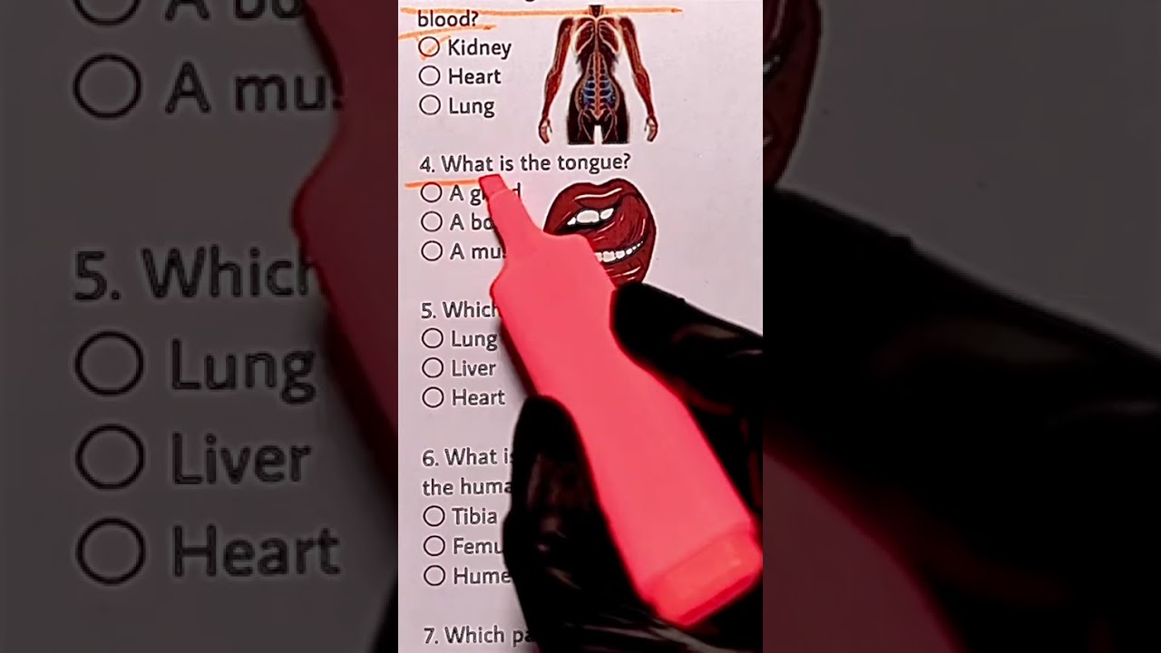 anatomy quize #englishlearning #mathexam #dance #quiz #biology #mathquiz #science #biologyexam