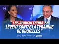 Eric Zemmour dans Face à l'Info : Les agriculteurs se lèvent contre la tyrannie de Bruxelles.