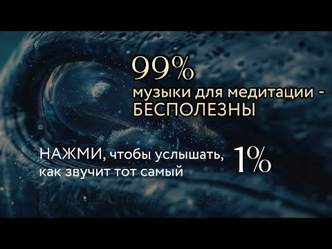 MALEA. Киты и 432 Гц живое взаимодействие с древнейшими существами океана и природным резонансом.