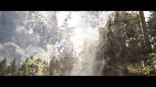 Pantha du Prince - The Crown Territory (Official Video)