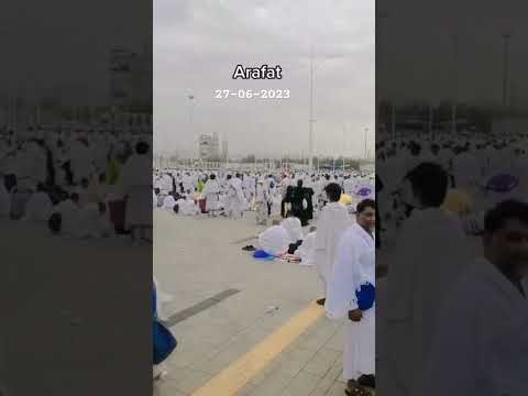 Arafat day Hajj 2023 #hajj2023 #arafat #hajj #youtubeshorts #shots #pilgrim #muslim #prayer