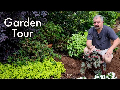 4k Garden Tour: Spring Has Sprung And Annual Pollinator Plants Are Growing Fast