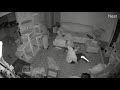 Tuxedo Cat Running In Circles