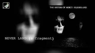 Never Land a fragment