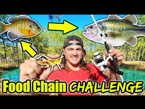 FIRST EVER Food Chain Fishing Challenge in My BACKYARD POND!!