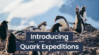 An Introduction to Quark Expeditions | Panache Cruises