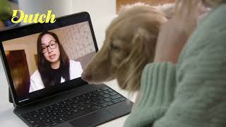 Dutch Travel with Dutch