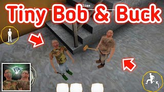 Tiny bob & buck  The twins full gameplay