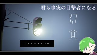 風邪治りかけだけどホラーとかどう？【幻覚】