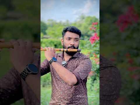 Minnalvala | Flute Cover Shorts | Narivetta | Sai Sankar Cherthala #flute #flutesong
