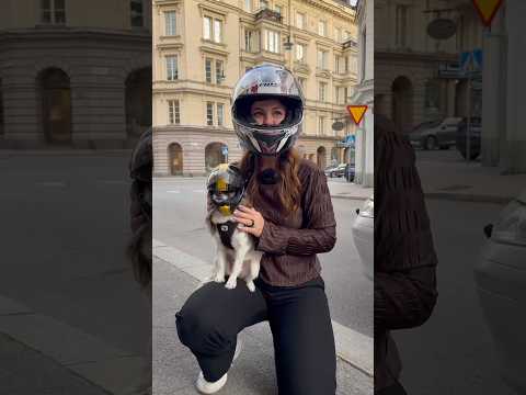 KRASHADE PÅ MOPPEN😢❤️ Tack så mycket Hööks🥰