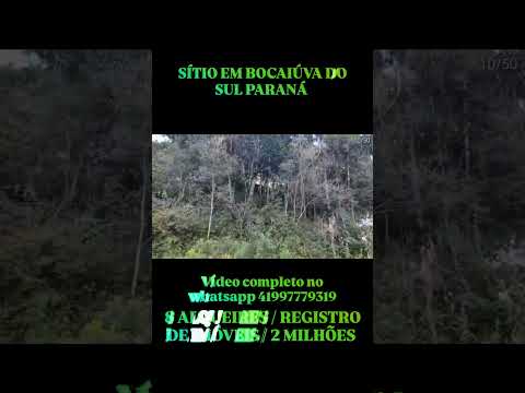 sítio em Bocaiúva do Sul Paraná 41997779319