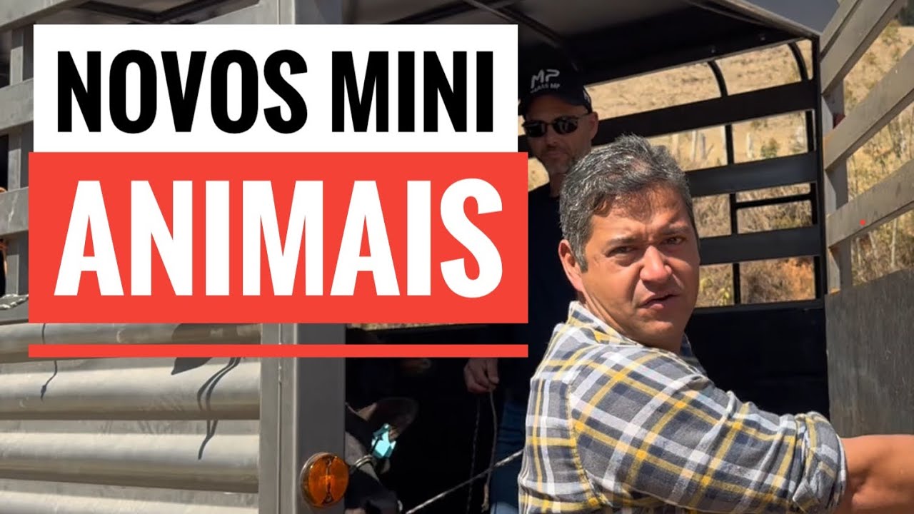 NÃO ESPERAVA QUE ELES FOSSEM TÃO PEQUENOS.