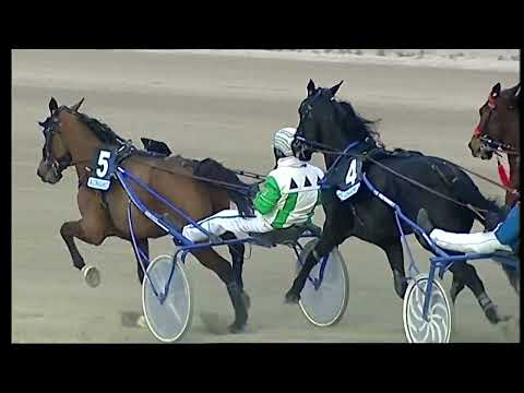 Napoli Trotto 04/02/2022 - 4ª corsa