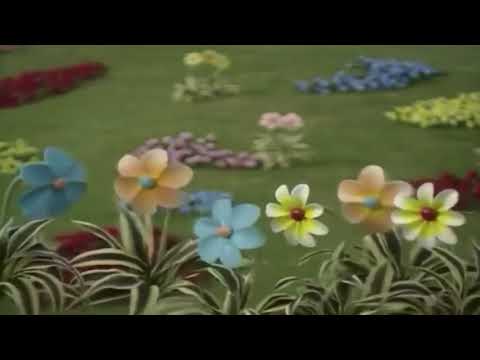 Teletubbies - The Flowers