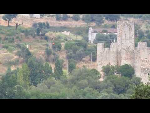 CP (1930) com contentores - Tancos