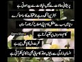 Beautiful Line WhatsApp Status