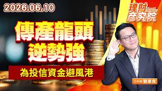 0610傳產龍頭逆勢強，為投信資金避風港｜理財彥究院｜劉彥良 (圖)