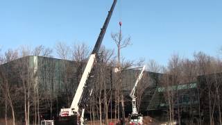 preview picture of video 'Oak Removal - Brookfield, WI'