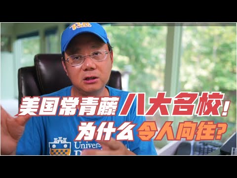 常青藤