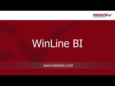 Mit diesem Video zeigen wir Ihnen einen kleinen Ausschnitt der Funktionen des WinLine BI-Moduls und wie Sie damit Ihre Unternehmensdaten übersichtlich aufbereiten können, um rasch aussagekräftige Entscheidungsgrundlagen verfügbar zu haben.