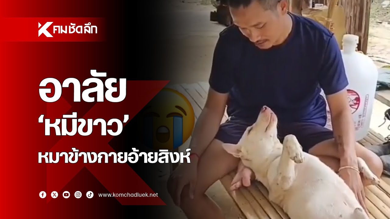 ย้อนความน่ารัก 'หมีขาว' หมาข้างกายอ้ายสิงห์