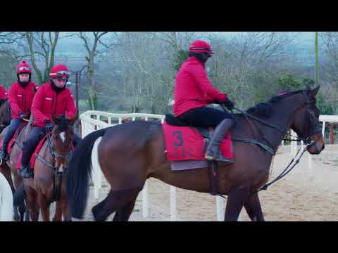 Cheltenham Preview -  Our Duke
