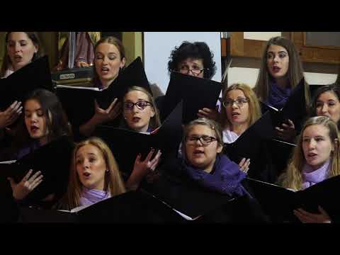 Božični koncert 2017