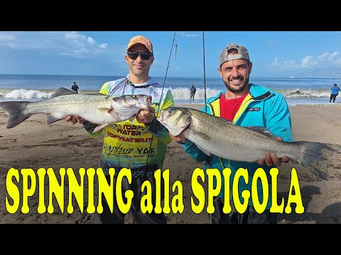 SPINNING in the SEA from the BEACH to the BEACH