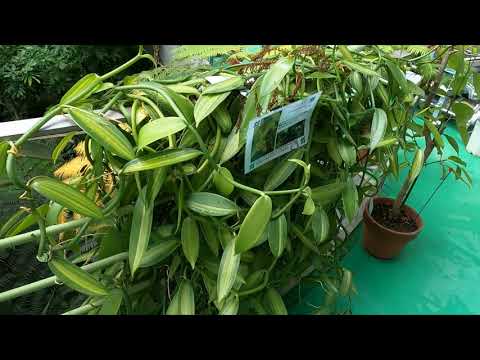 薬学科 キャンパス見学動画⑥