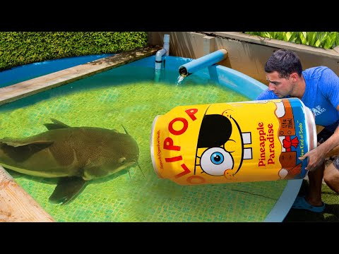 I Caught The Pond Monster in A SpongeBob Fish Trap…