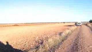 preview picture of video 'caza de la liebre con galgos'