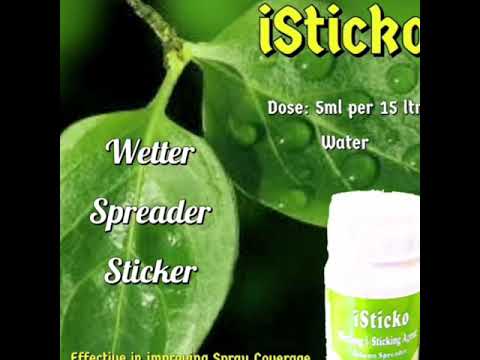 Silicon Spreader Activator