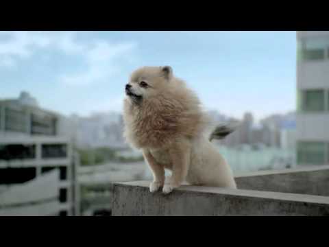 TOKYO JUNGLE - TVCM (1)