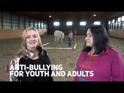 download lagu mp3 mp4 Equine Workshops, download lagu Equine Workshops gratis, unduh video klip Equine Workshops