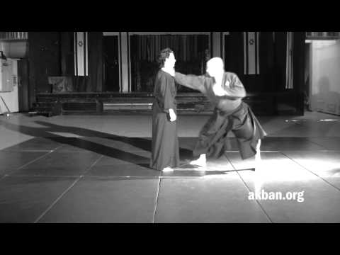 Ura shuto and tai sabaki, basic - Ninjutsu technique for Akban wiki