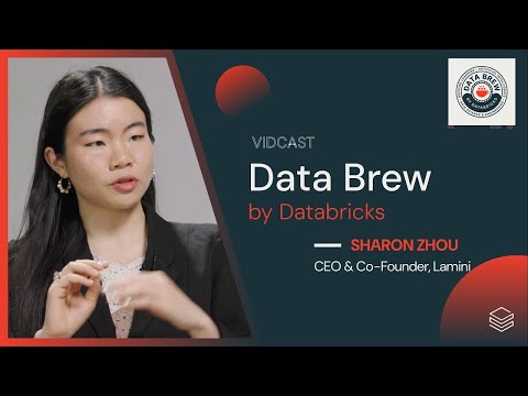 Watch: Mixture of Memory Experts (MoME) | Data Brew | Episode 36