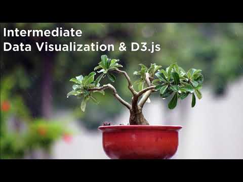 D3.js Intermediate Data Visualization Training Introduction - D3.js v3 Tutorial