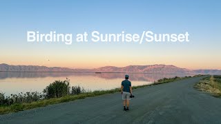 Birding at Sunset and Sunrise at a Beautiful Bird Refuge