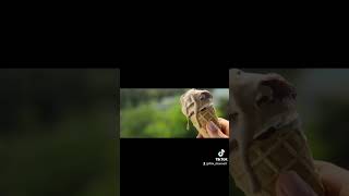 Download lagu Raquel e Ares in piscina (Dalla mia finestra : Al di là del mare) mp3 Download lagu Raquel e Ares in piscina (Dalla mia finestra : Al di là del mare) mp3