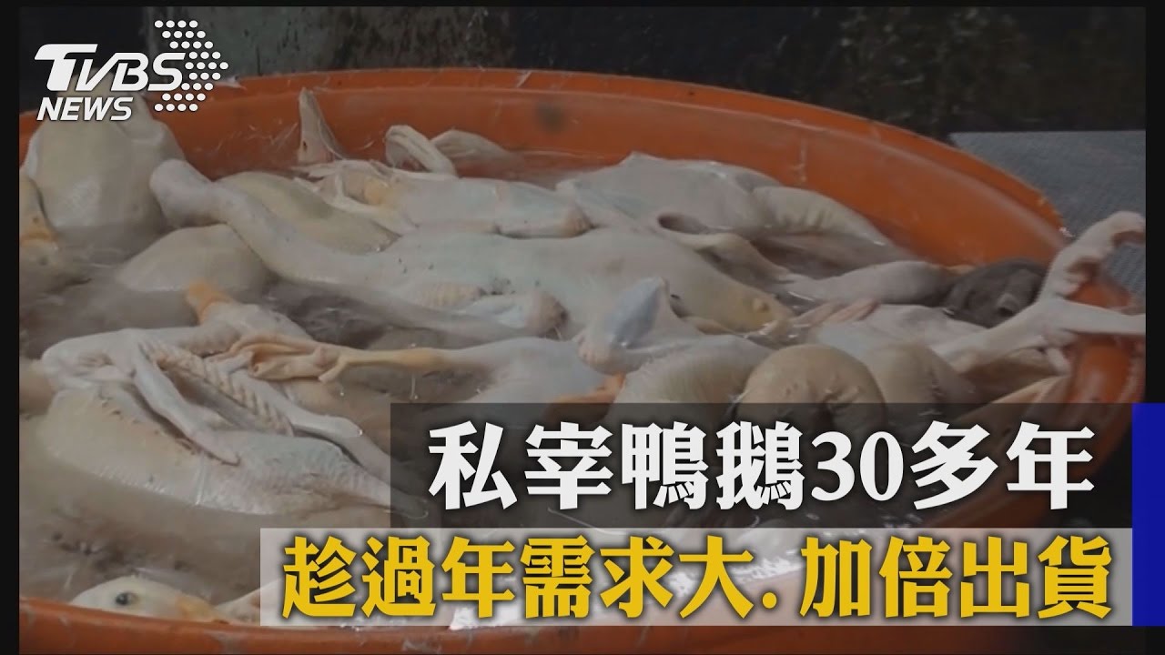 私宰鴨鵝30多年 趁過年需求大加倍出貨