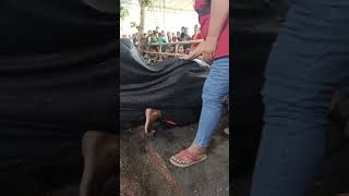 Download lagu Leyong Kudho Praneso-Barongan Jogja Seram mp3