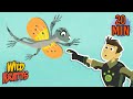 Leaping Lizards Draco Lizards Komodo Dragons More Animals For Kids Wild Kratts