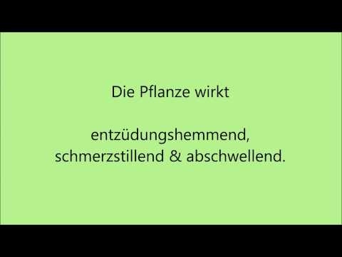 Mononukleose Gelenkschmerzen Behandlung der Gelenke und der Wirbelsäule clay