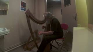 Rémi Myrdhin playing my walnut 32 wirestrung harp