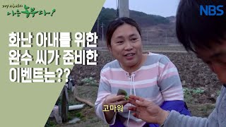 [쌈 채소 농부 완수 씨, 나는 이장이다!] 미워할 수 없는 내 남편