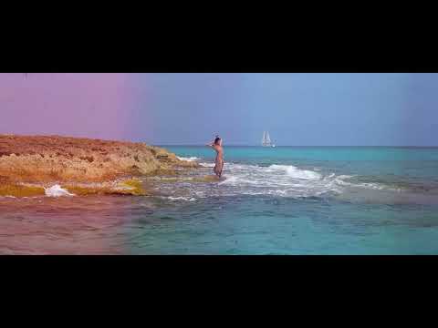 INGRID LUKAS - BEGINNING (official video)