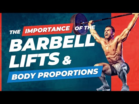 The Importance of the Barbell lifts and Body Proportions
