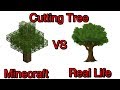 Minecraft Vs Real Life Part 6 Cutting Tree