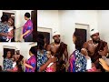 FUNNIEST Gorilla Family Moments Mr Gorilla Will Make Your Day